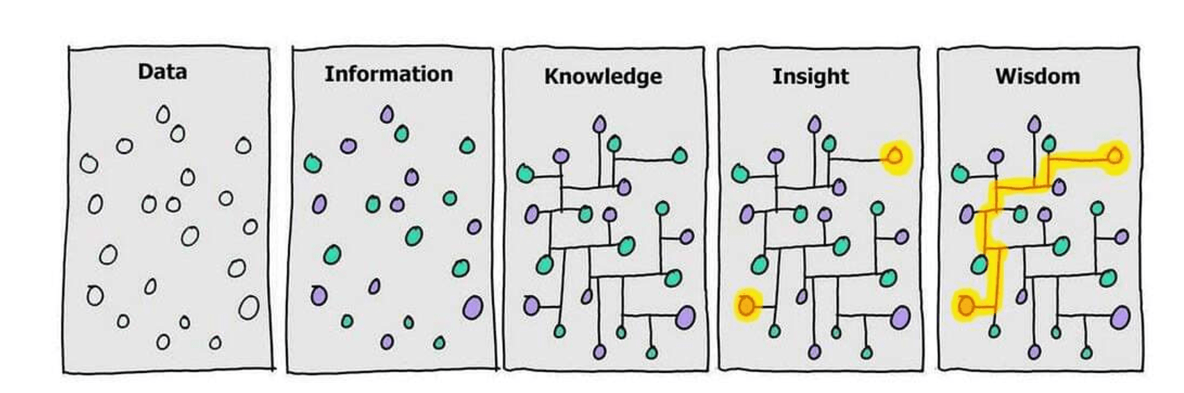 Data, Information, Knowledge, Insight, Wisdom framework illustrating how Samanvay connects ideas into meaningful execution